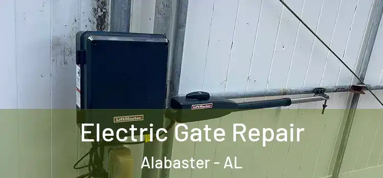 Electric Gate Repair Alabaster - AL