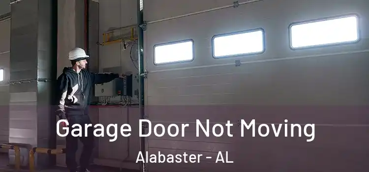  Garage Door Not Moving Alabaster - AL