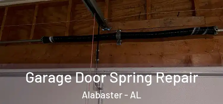  Garage Door Spring Repair Alabaster - AL